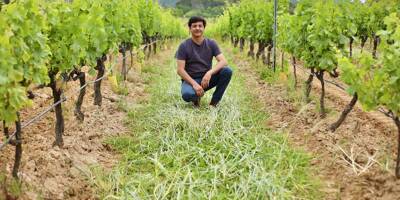 Comment ce vigneron varois révolutionne l'agriculture en dopant la santé des sols, sans pesticides
