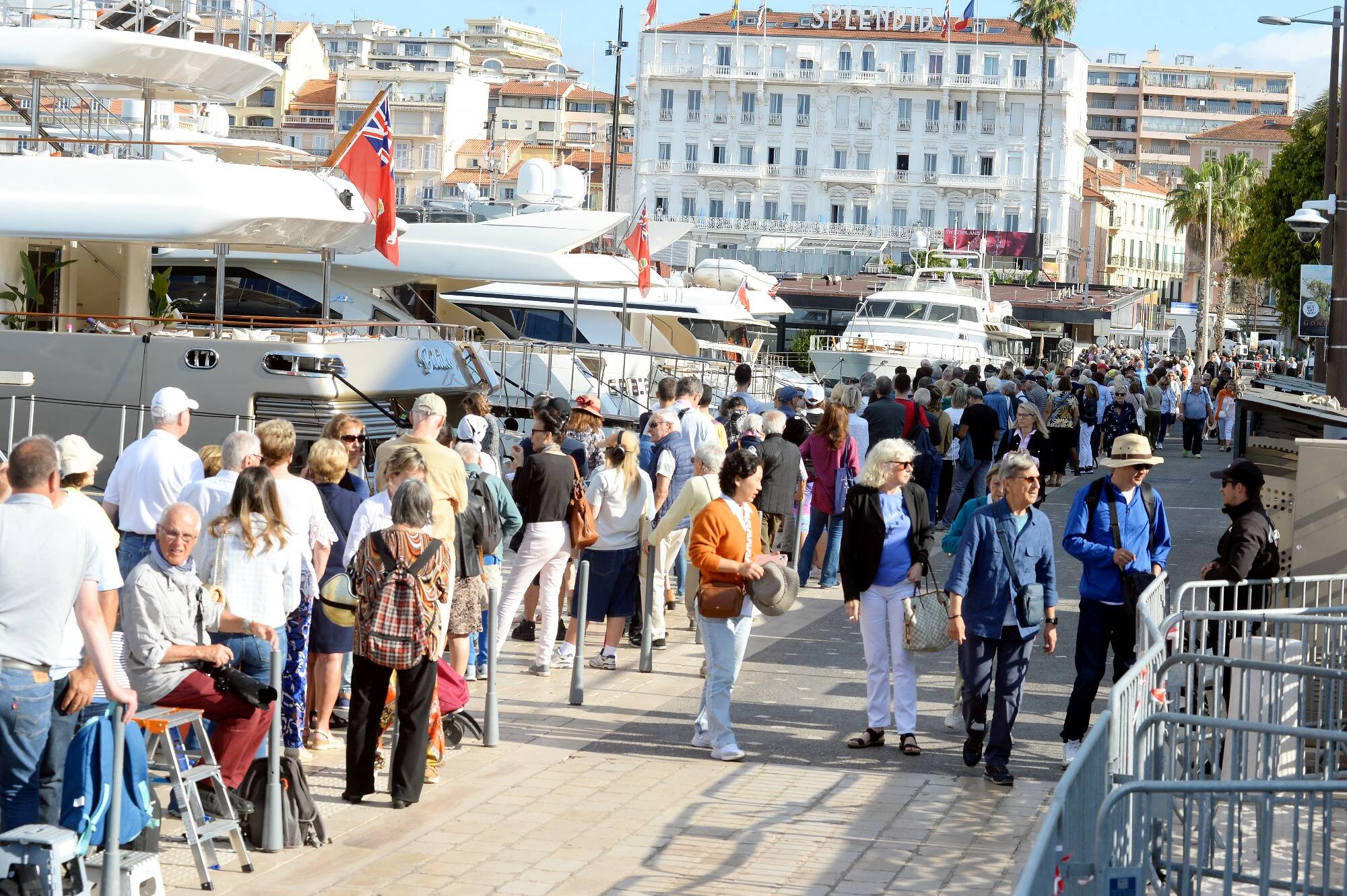 Projection de la Palme d'Or aux Cannois: la Ville met en garde le jeune public