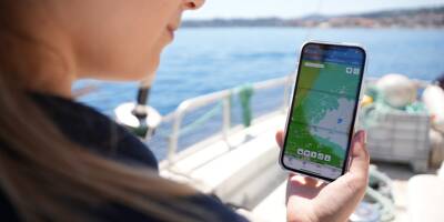 Donia: l'application gratuite qui sauve la posidonie en guidant l'ancrage des bateaux au large de la Méditerranée