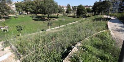 Canicule: en raison des très fortes chaleurs, les parcs de cette ville de la Côte d'Azur resteront ouverts tard en soirée