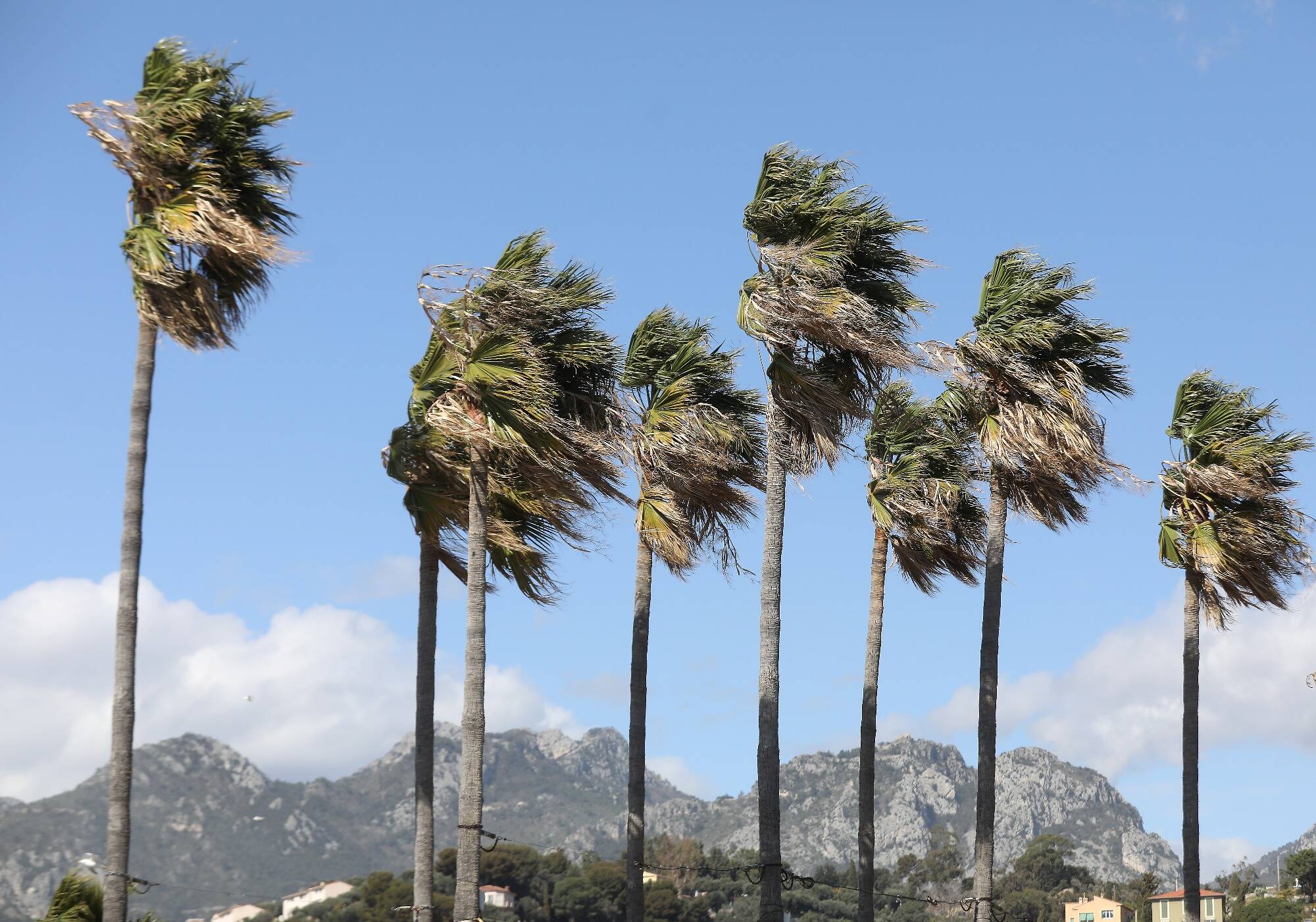 Alerte aux vents violents: les rafales dépassent les 100km/h sur la Côte d'Azur, des dégâts à Nice