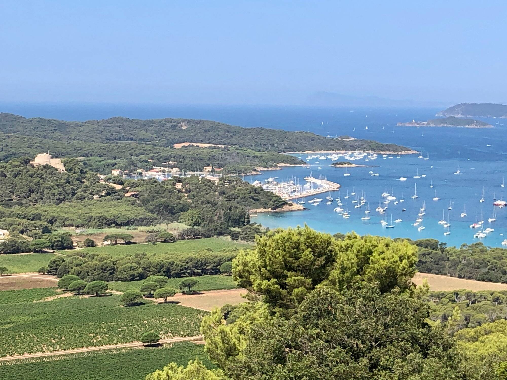 Tribune libre. Parc national de Port-Cros: "60 ans de protection environnementale ne peuvent être balayés d'un revers de main administrative"