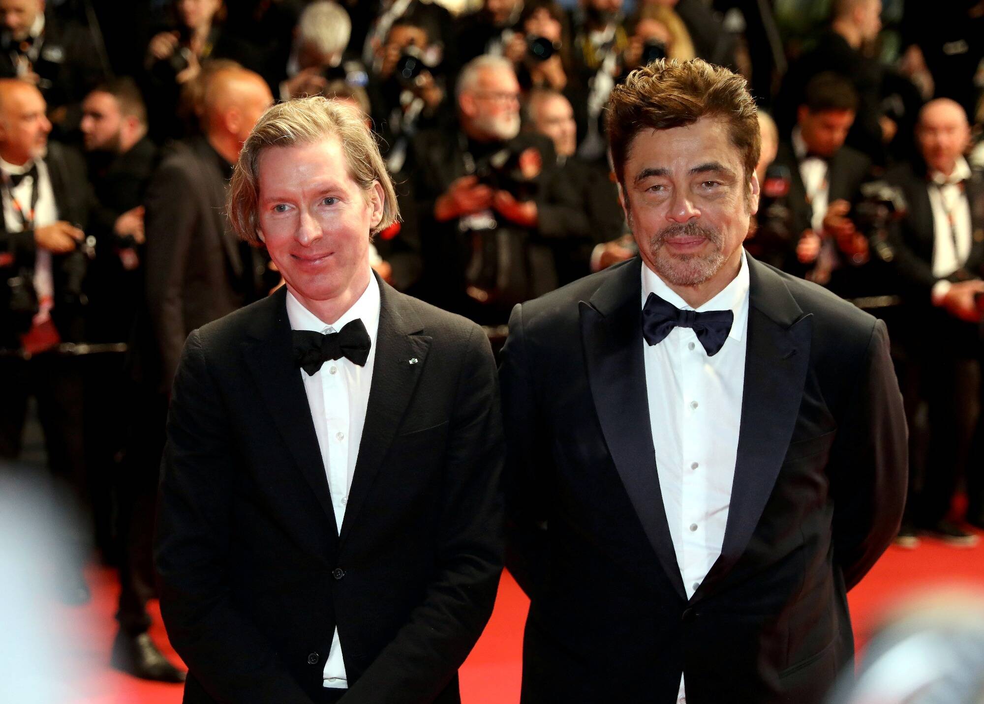 Quand pourra-t-on voir dans les salles de cinéma les films présentés au 78e Festival de Cannes? Suivez le guide