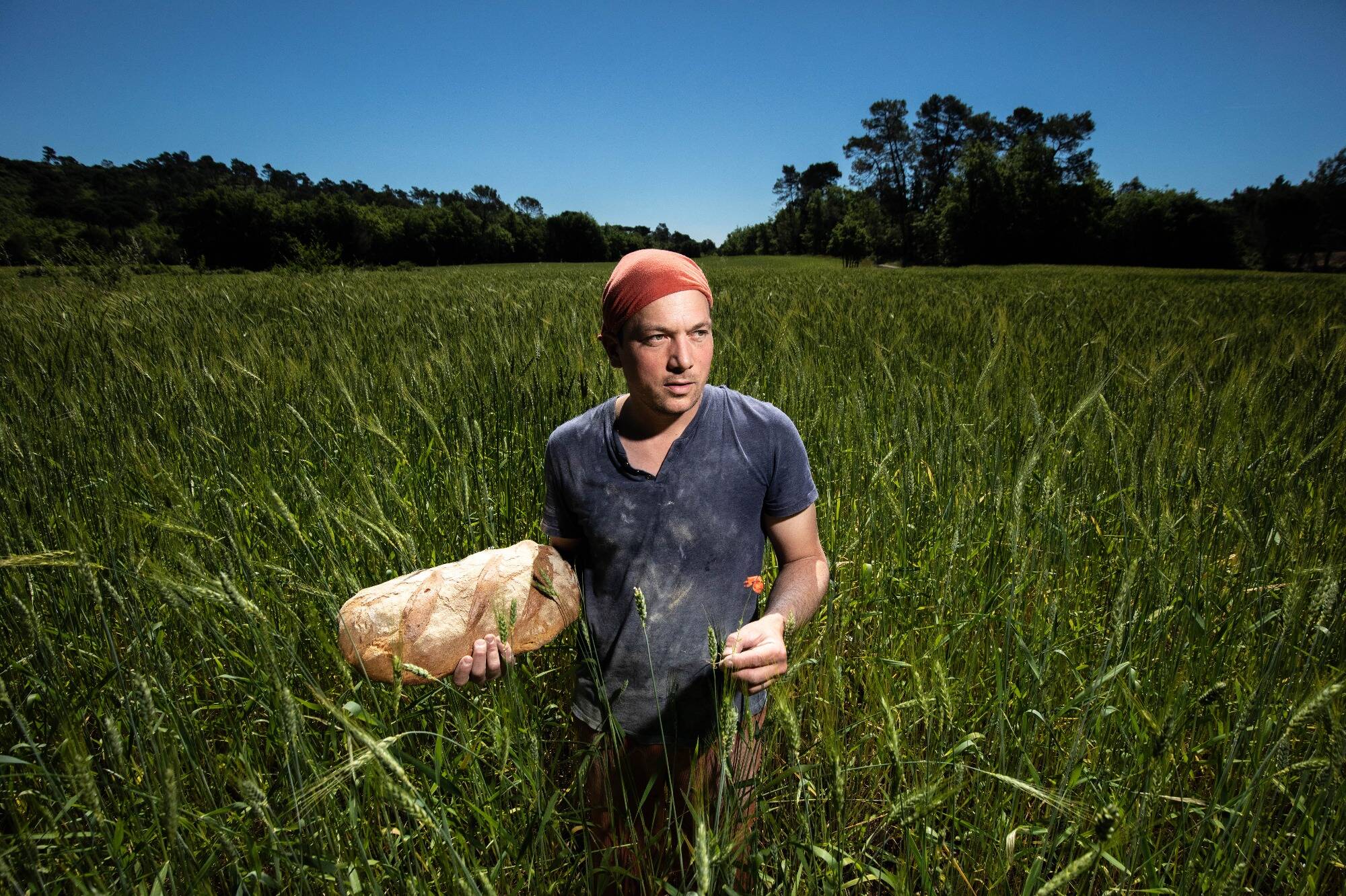 Pour ce paysan boulanger varois, la loi Duplomb montre "le refus de changer de pratiques"