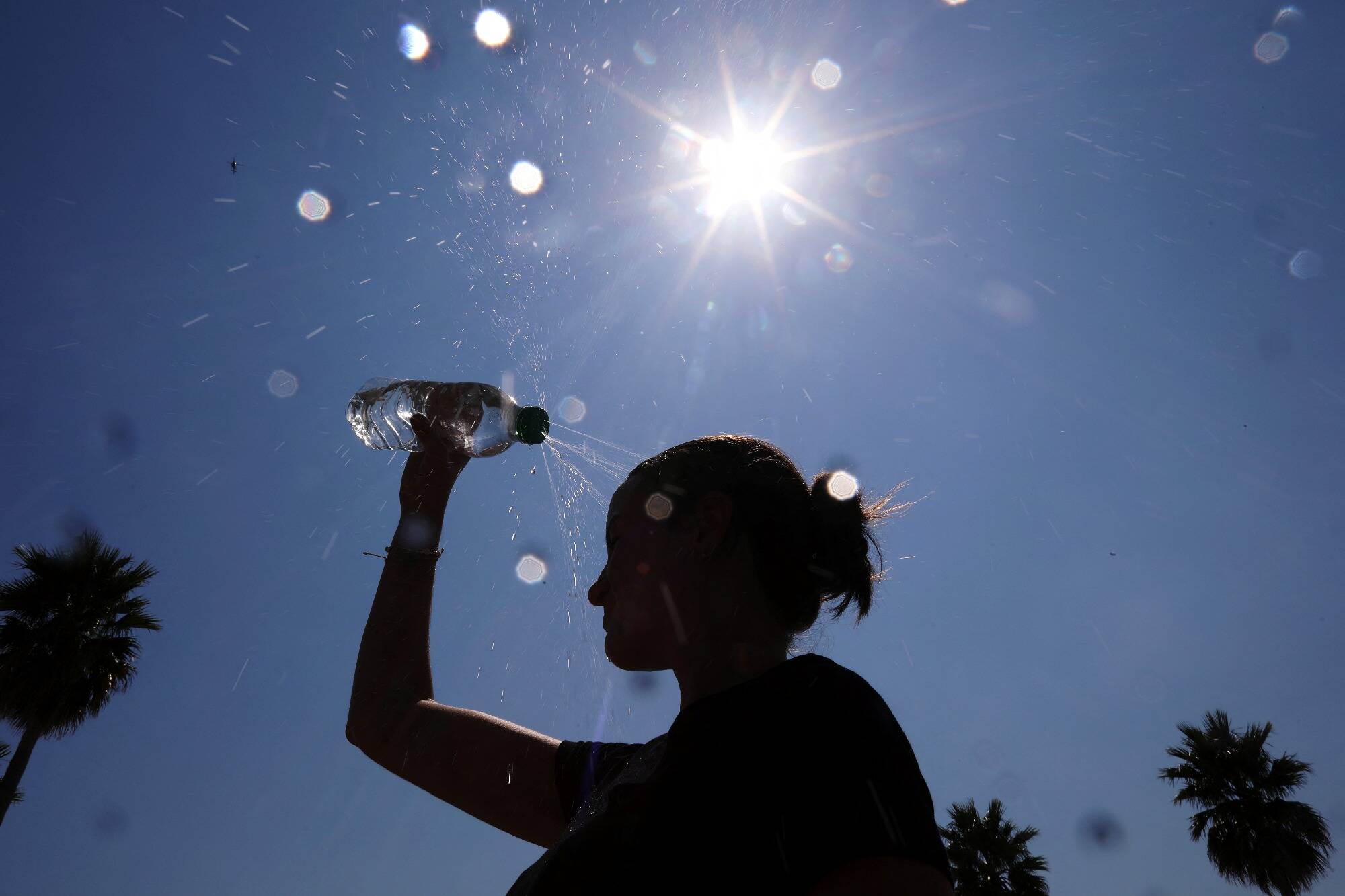 "Un été exceptionnellement meurtrier": la chaleur a tué des dizaines de milliers d'Européens en 2024