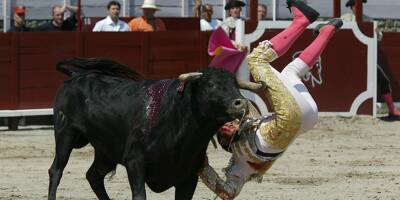 Le gouvernement va s'opposer à la proposition de loi sur l'interdiction de la corrida
