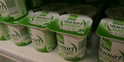 Face à la pollution plastique, faut-il interdire les pots de yaourt individuels?