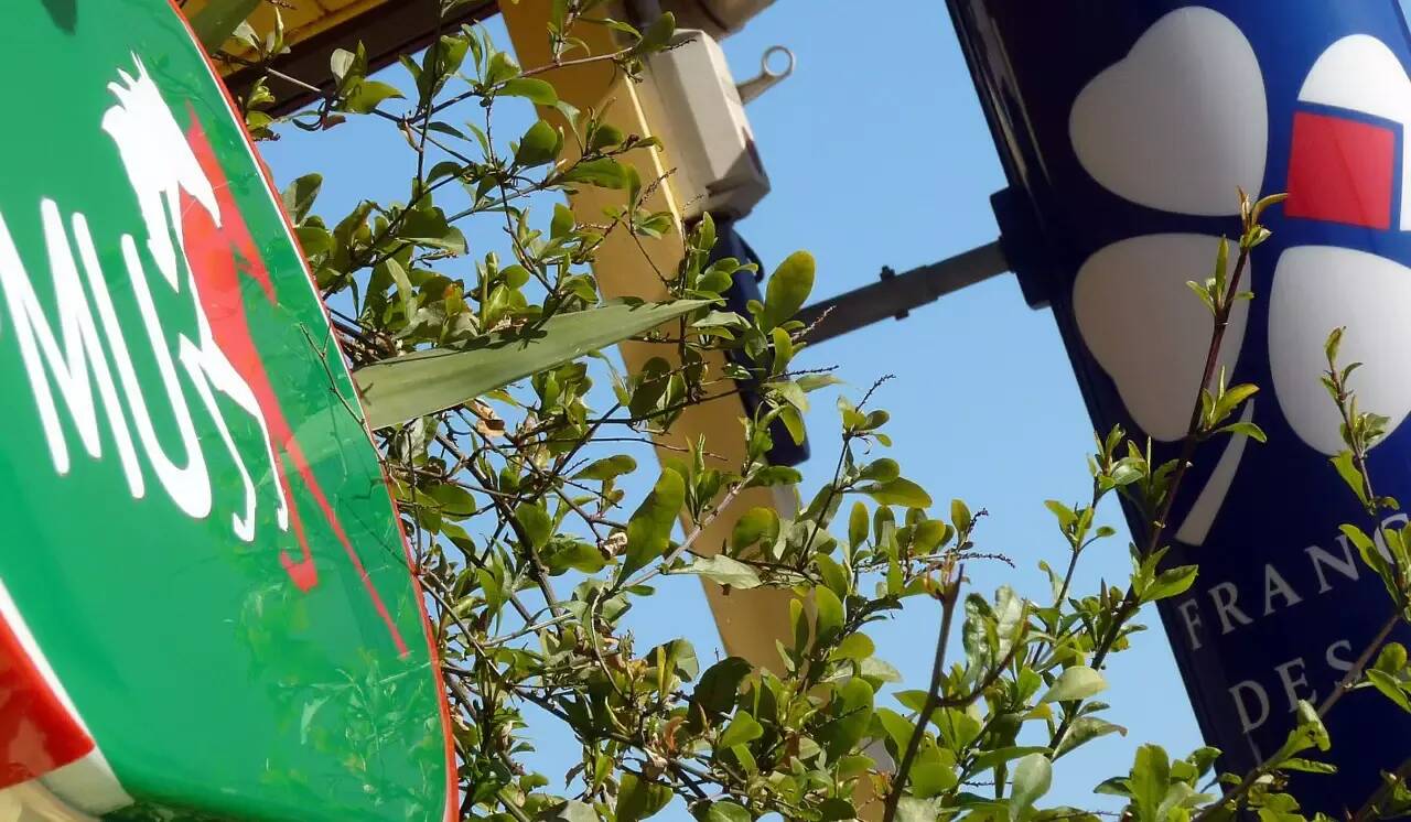 Un joueur du Quinté+ repart avec le pactole dans ce PMU de la Côte d'Azur, le nombre de grand gagnant de 2023 déjà battu