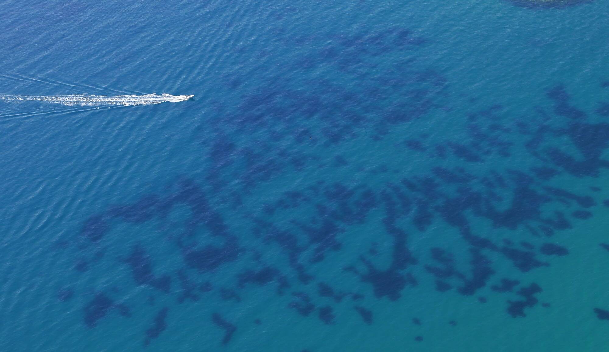 Très chaude ou glacée, pourquoi la mer Méditerranée a battu des records cet été