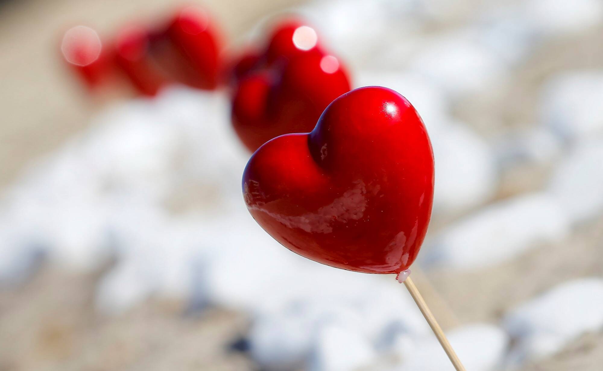 Ces 9 bonnes tables du Var qui proposent un menu pour la Saint-Valentin - Var-Matin