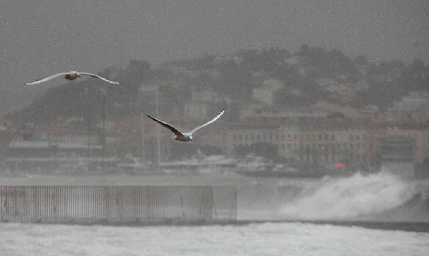 Ciel Bas Pluie Vent La Triste Meteo Du Dernier Week End Avant Noel Dans Le Var Var Matin Ciel Bas Pluie Vent La Triste Meteo Du Dernier Week End Avant Noel Dans Le Var Var Matin