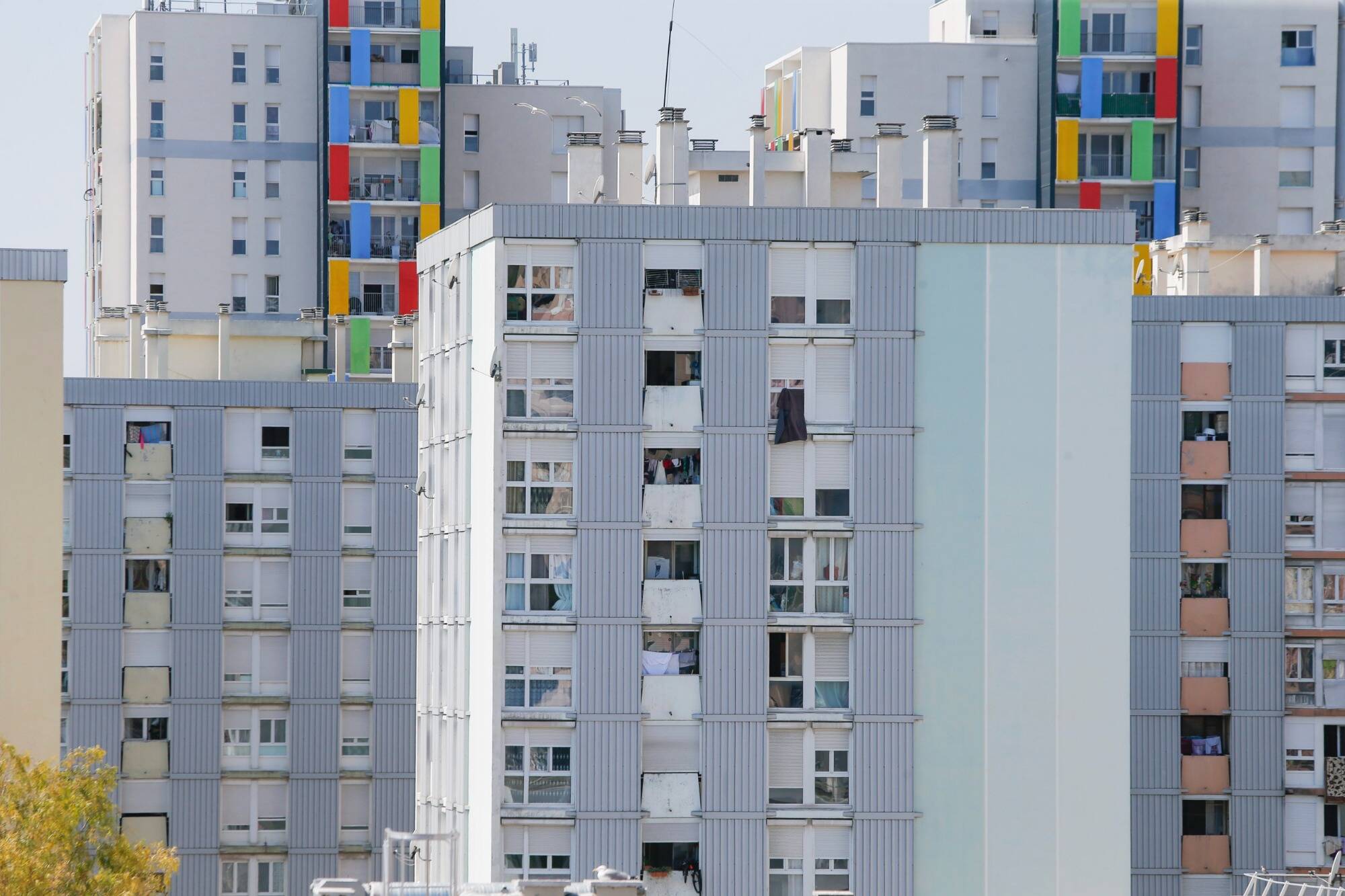 Mondial-2022: avant France-Maroc, les Niçois du quartier des Moulins ont "le coeur qui balance"