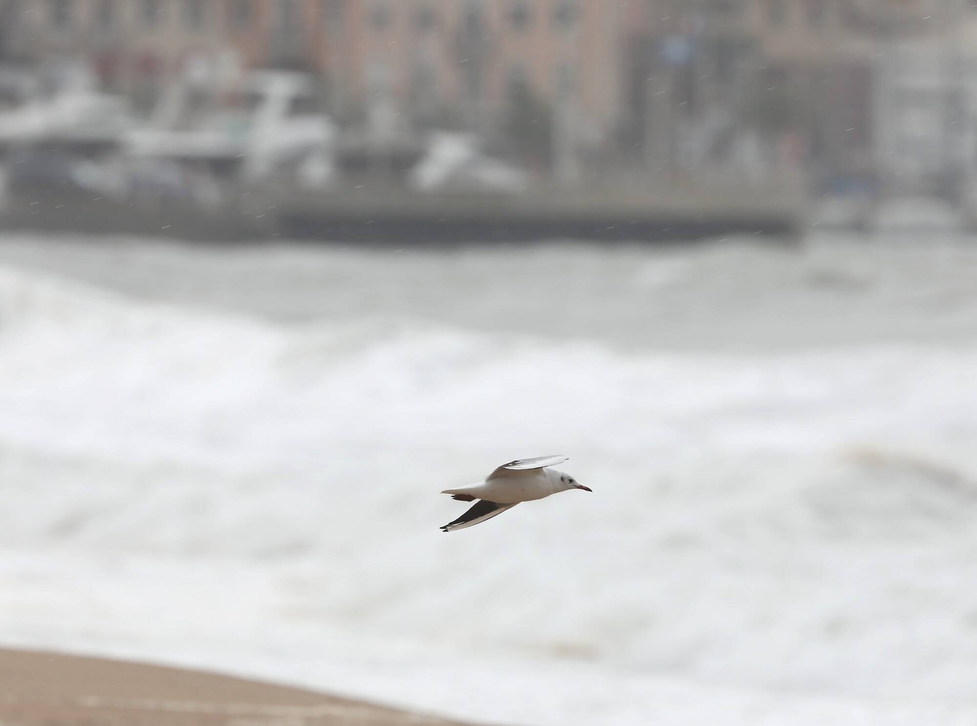 Quelques gouttes de pluie, du soleil et une vigilance ce jeudi dans les Alpes-Maritimes