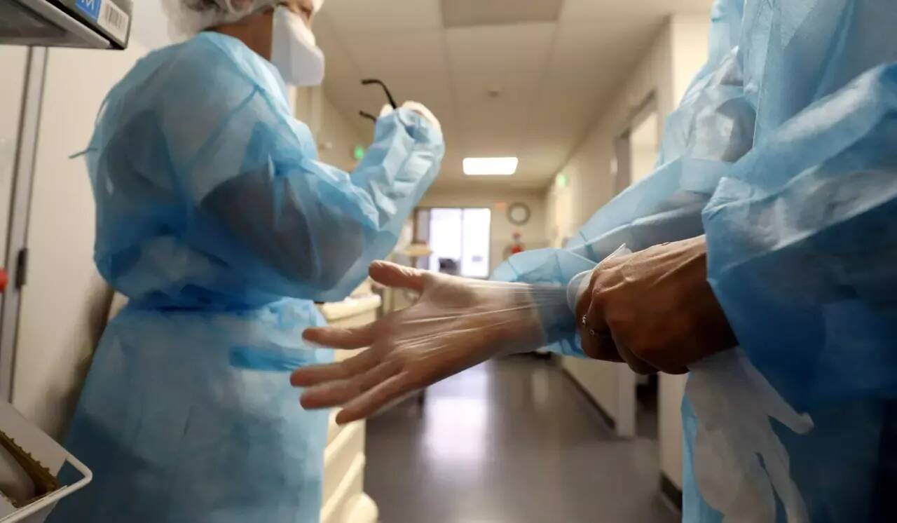 Covid-19: il est surnommé "Pirola" et se répand plus facilement, on fait le point sur le nouveau variant BA.2.86