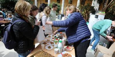 Vous voulez aider les réfugiés ukrainiens? Voici les besoins alimentaires dans la métropole de Nice et où les déposer