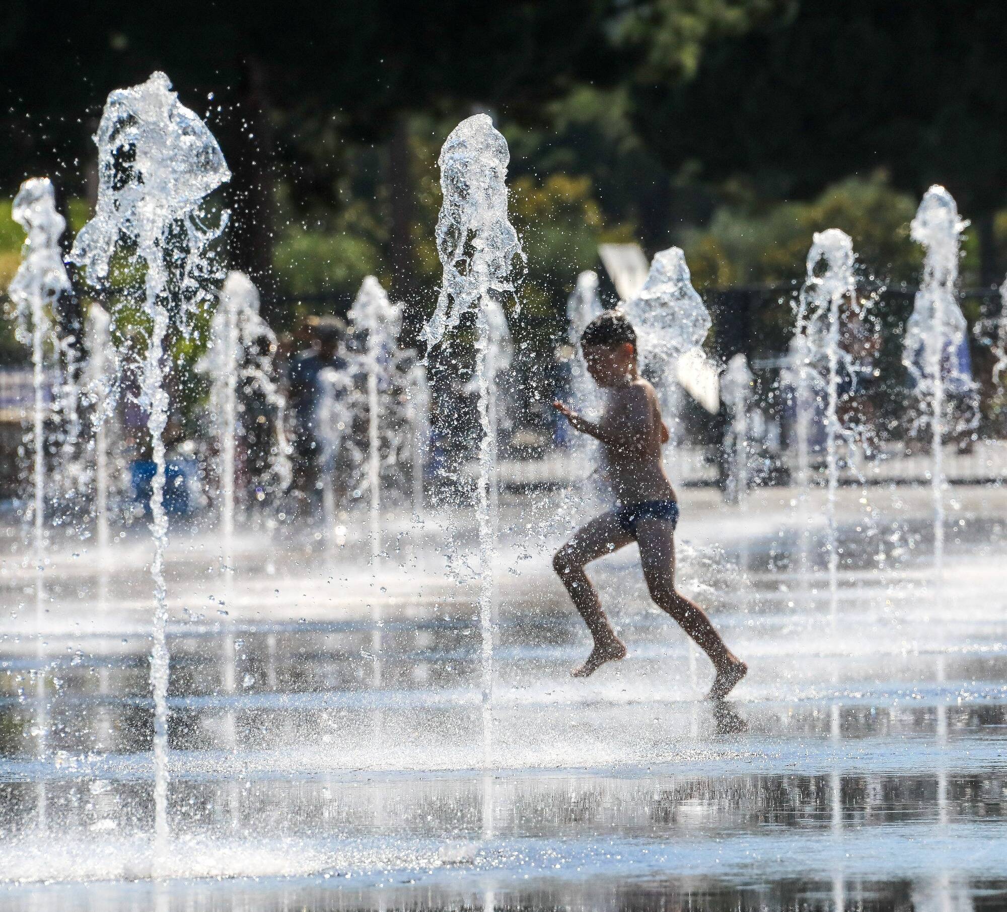 La France doit se préparer à un réchauffement du climat de +4°C, selon élus et société civile