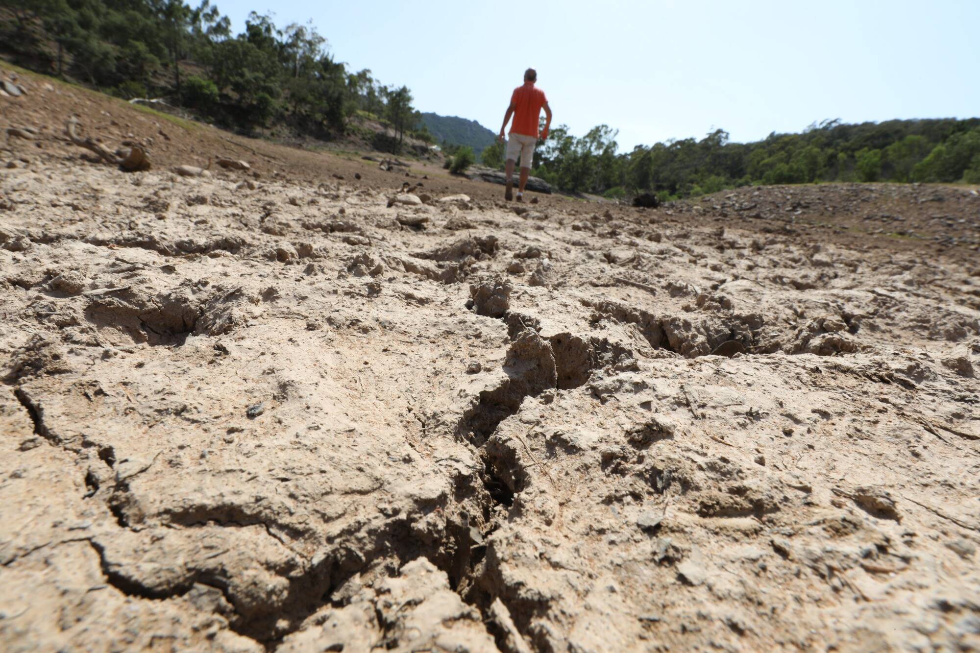 "Un plus haut record absolu": sur les côtes méditerranéennes comme en Europe, la sécheresse a atteint des sommets en août 2025