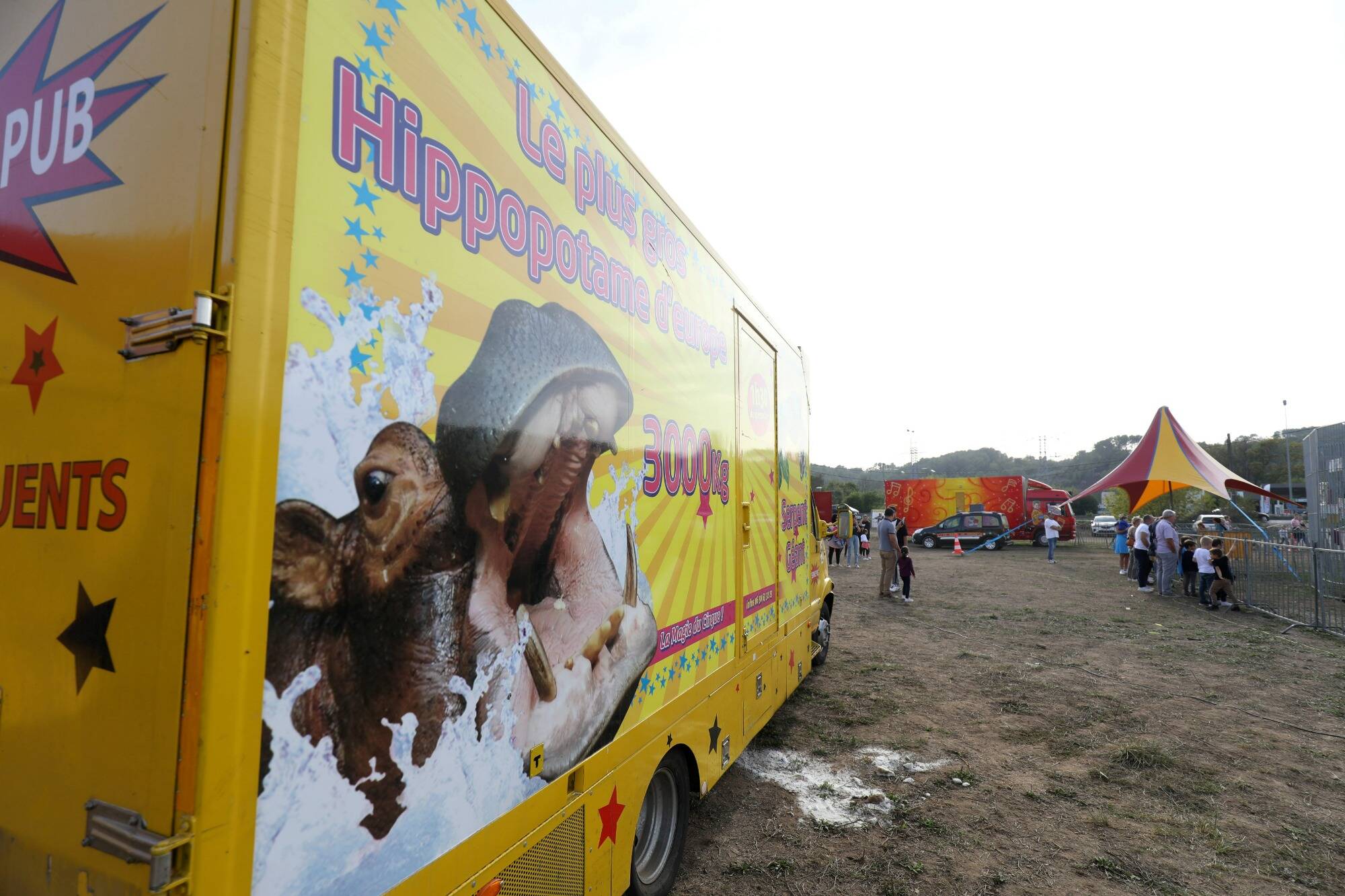 Hippopotame Jumbo, demandes d'expulsion, barrage... Les dernières polémiques avec le cirque Muller dans le Var et les Alpes-Maritimes