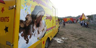 Hippopotame Jumbo, demandes d'expulsion, barrage... Les dernières polémiques avec le cirque Muller dans le Var et les Alpes-Maritimes
