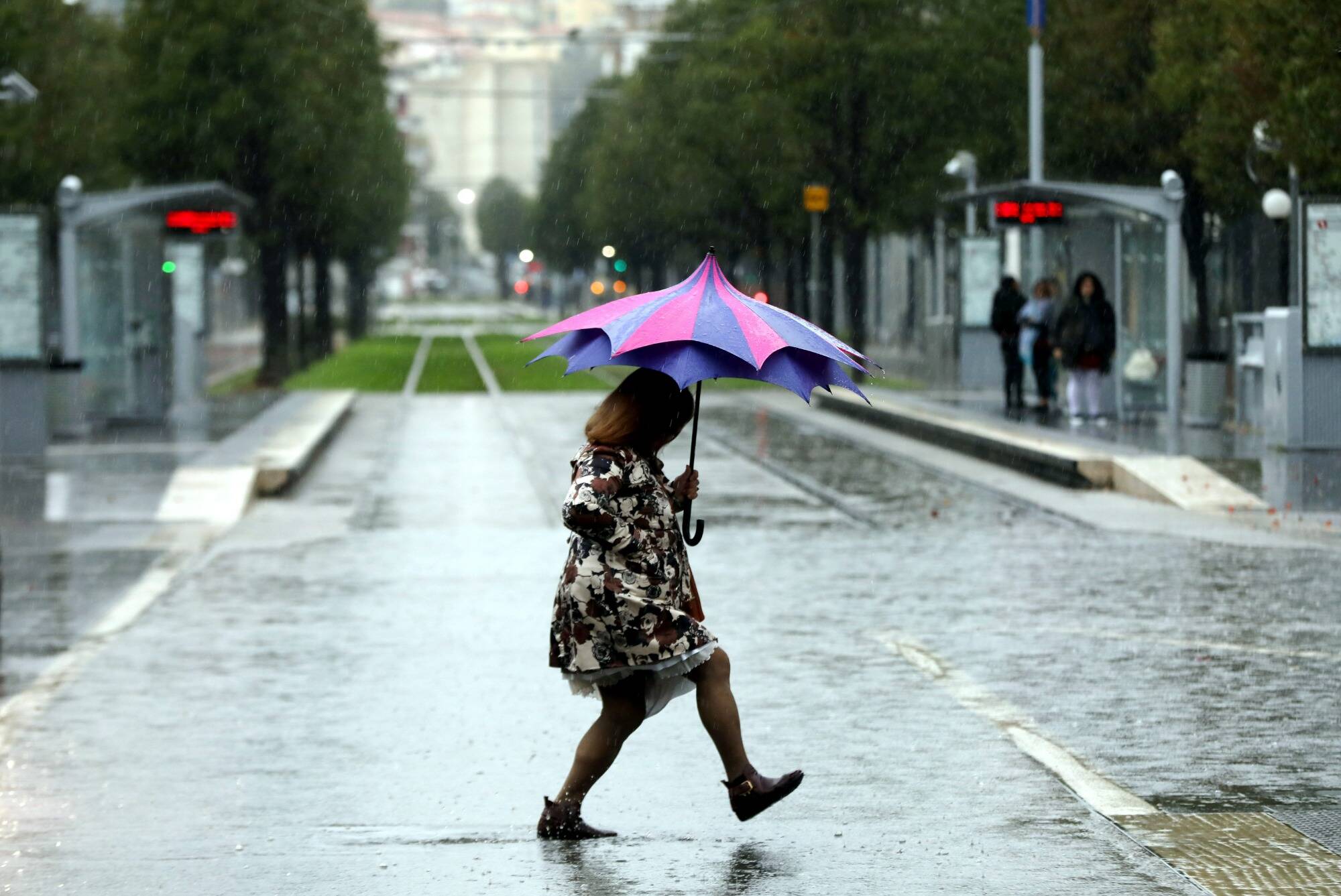 Il est tombé presque l'équivalent d'un mois de pluie à Antibes ce jeudi, de 50 à 80 mm sur le littoral