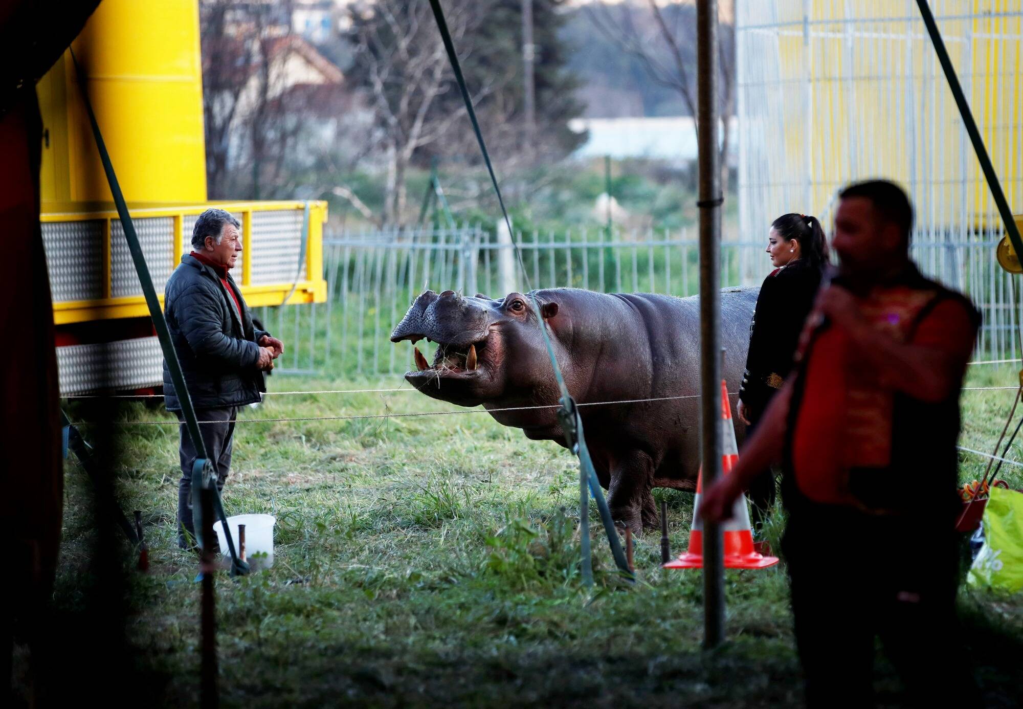 Le cirque Zavatta quitte le terrain occupé sans autorisation à Nice ce lundi matin, la réunion avec le préfet maintenue
