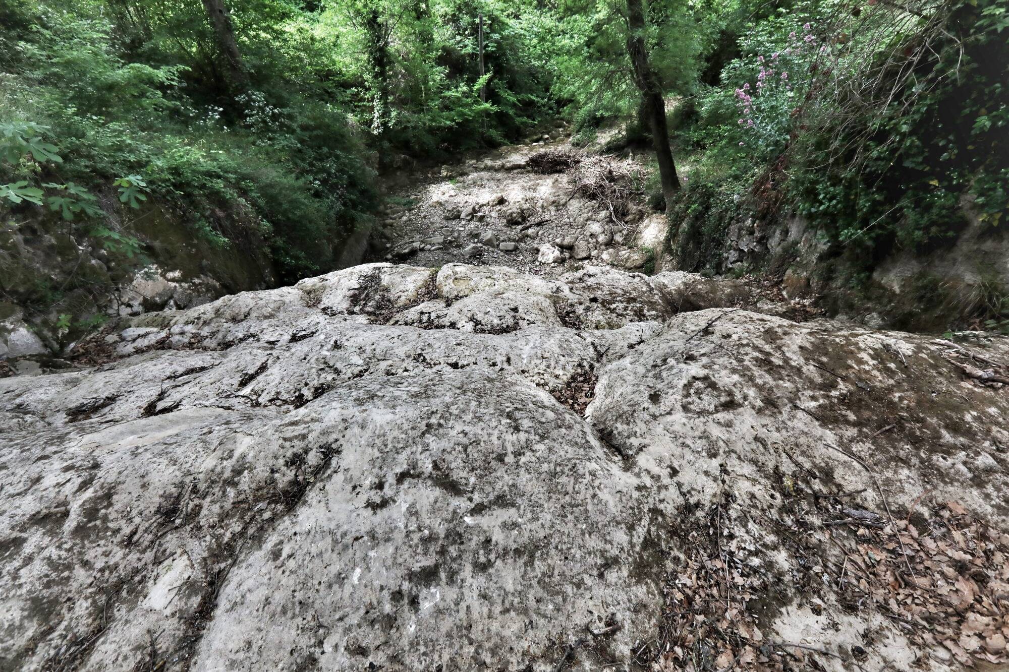 Alerte sécheresse: dans les Bouches-du-Rhône, des restrictions d'eau mises en place d'Aix-en-Provence aux limites du Var