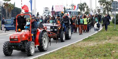 Colère des agriculteurs: une opération escargot organisée ce jeudi à Nice, on connait le trajet du convoi