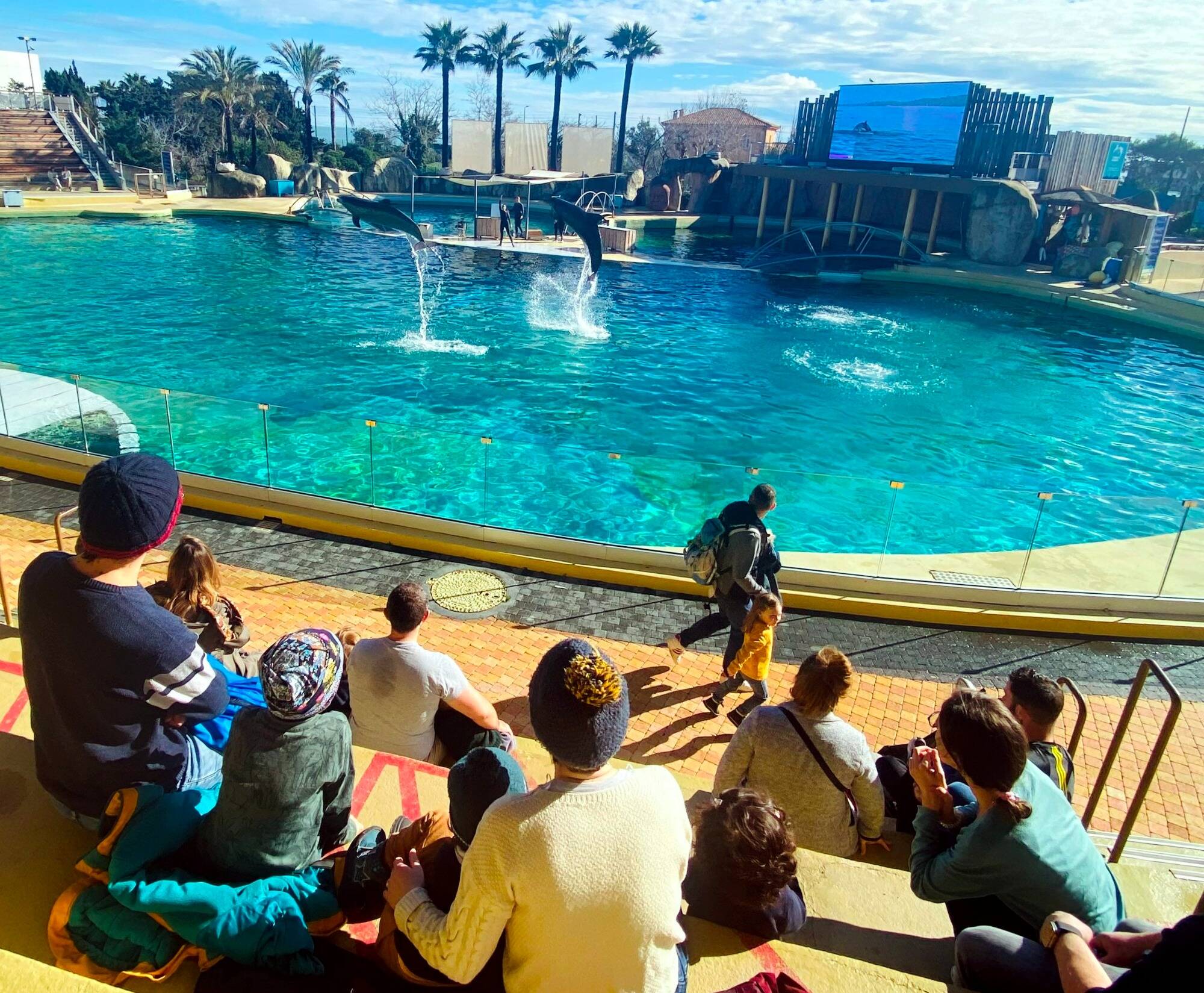 Projet de fermeture définitive de Marineland: racontez-nous vos meilleurs (et pires) souvenirs