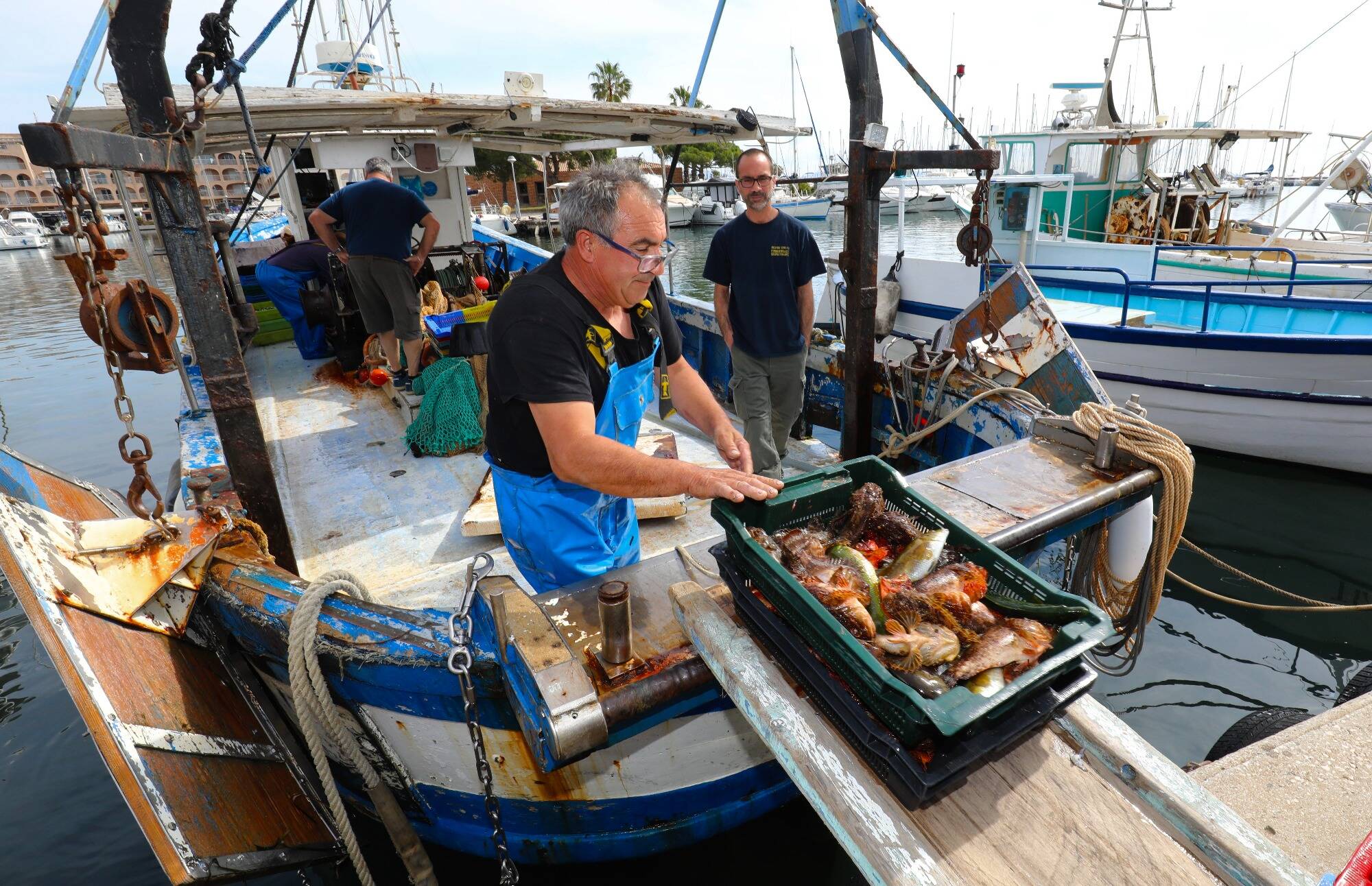 "Je n'ai pas encore fait mon deuil": le déchirement des derniers pêcheurs de gangui en Méditerranée