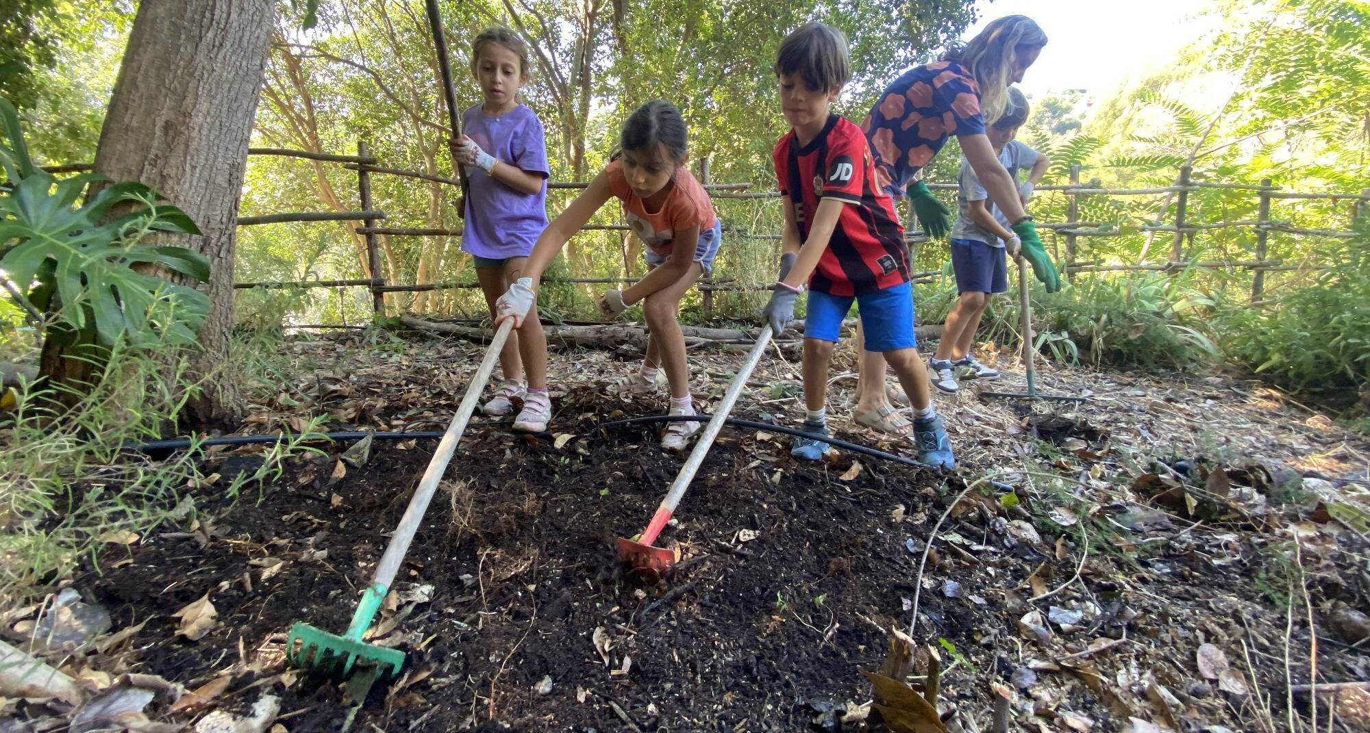 "Rien de mieux que de voir des élèves repartir apaisés": à Nice, comment ces professeurs s'appuient sur la nature pour enseigner