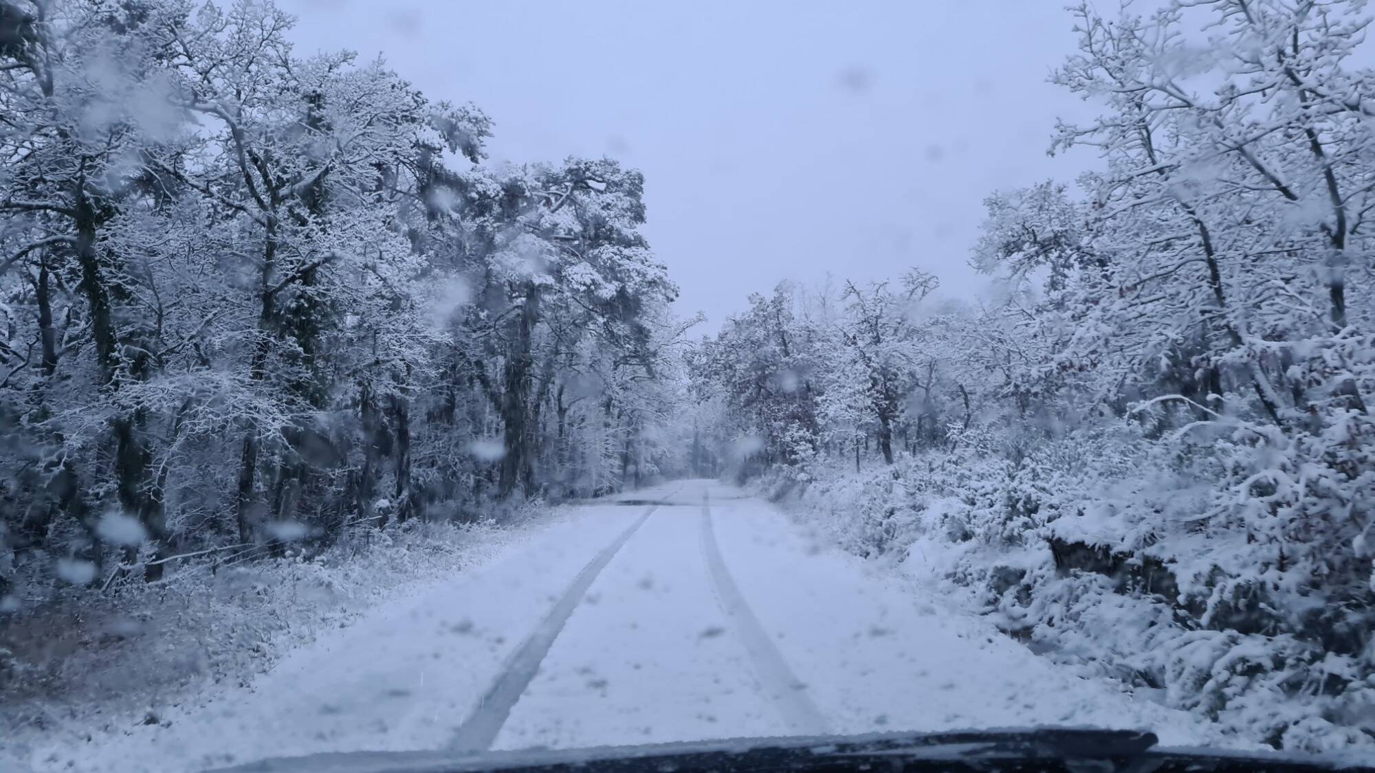 Un jeune homme retrouvé mort après avoir marché des heures dans le froid pour rentrer de soirée dans le Pas-de-Calais