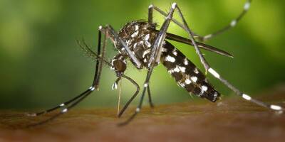 Recrudescence des cas de dengue: 
