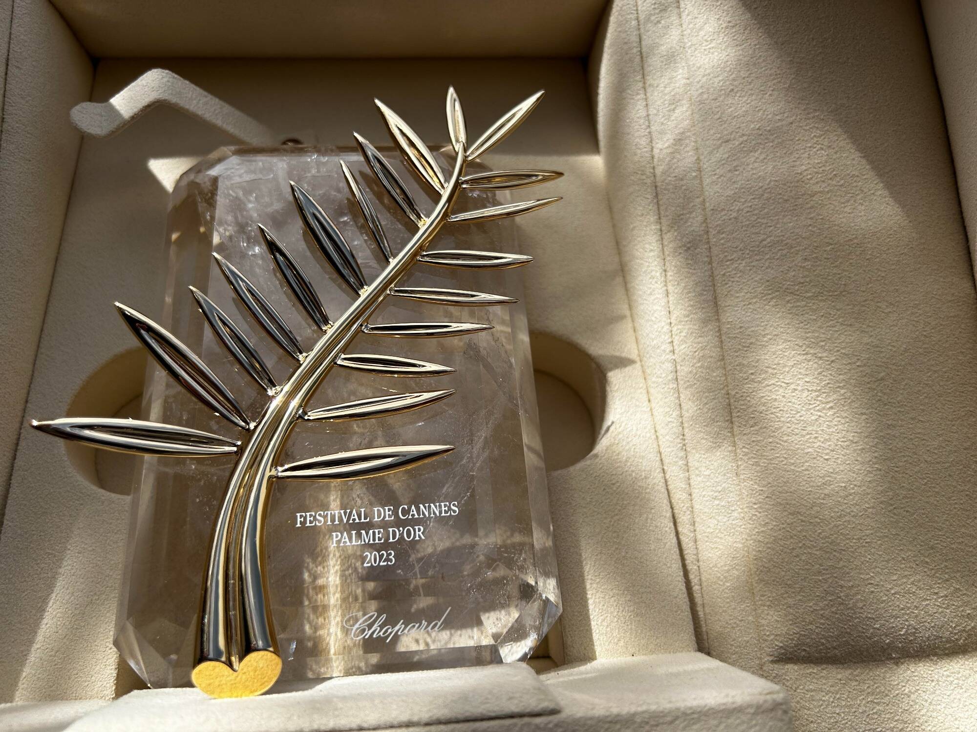 Festival de Cannes: quelles sont les Palmes d'or qui ont eu du succès au cinéma... et celles qui se sont plantées au box-office?