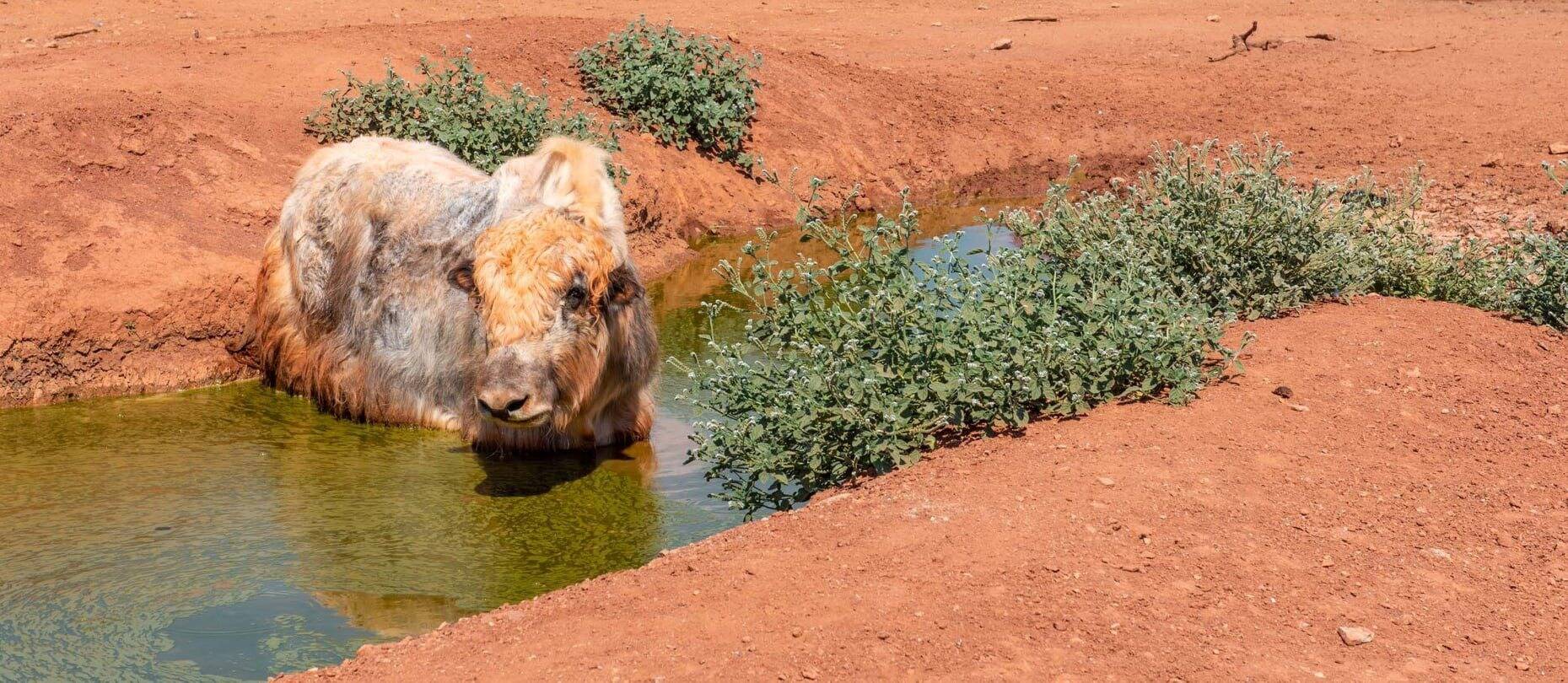 Le point sur le déconfinement des parcs de loisirs de la Côte d'Azur et du Var