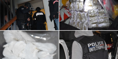 Descente de police dans une cité de Nice: 15 kg de drogue saisis, plusieurs interpellations