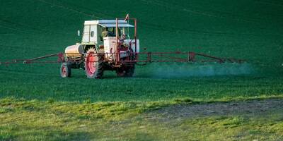 Des milliers de Français contaminés au cadmium, 