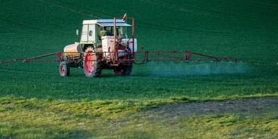 Pesticides: les ONG entre 