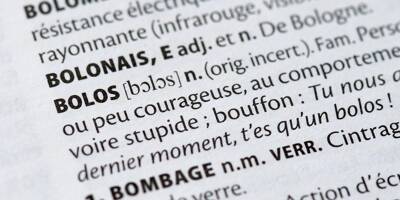 En coulisses: comment les nouveaux mots des dictionnaires sont-ils choisis?