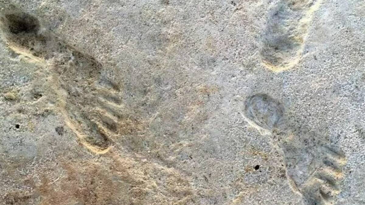 Ces empreintes de pas de préhumains auraient 6 millions d'années !