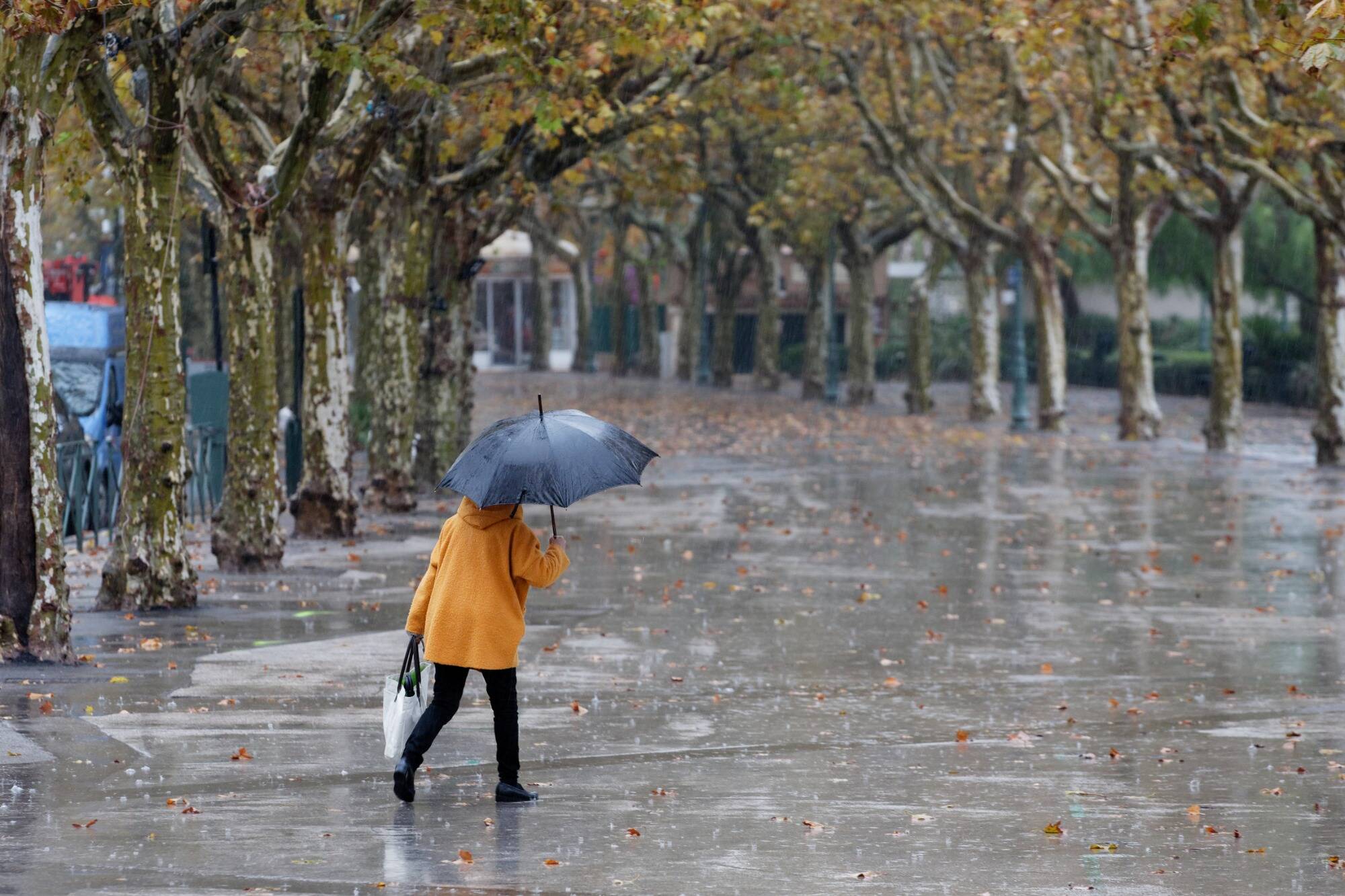 Pluie, Neige, Froid... Ce Qui Nous Attend Cette Semaine Dans Le Var ...