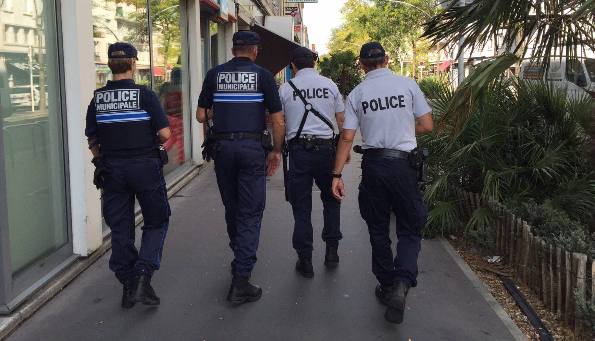 Le corps d'une femme de 25 ans découvert en forêt près de Strasbourg, son ex-compagnon soupçonné du meurtre