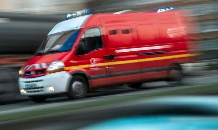 Un mort et deux blessés après la chute d'une grosse branche dans un parc public à Dijon