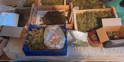 La gendarmerie découvre plusieurs kilos de cannabis dans un appartement de Cuers