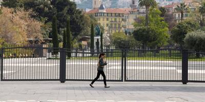 La Ville de Nice souhaite un arbre par habitant en 2026