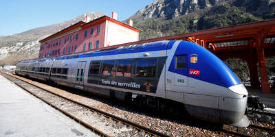 Ils lancent une pétition contre la fermeture (temporaire) de la liaison ferroviaire Nice-Breil