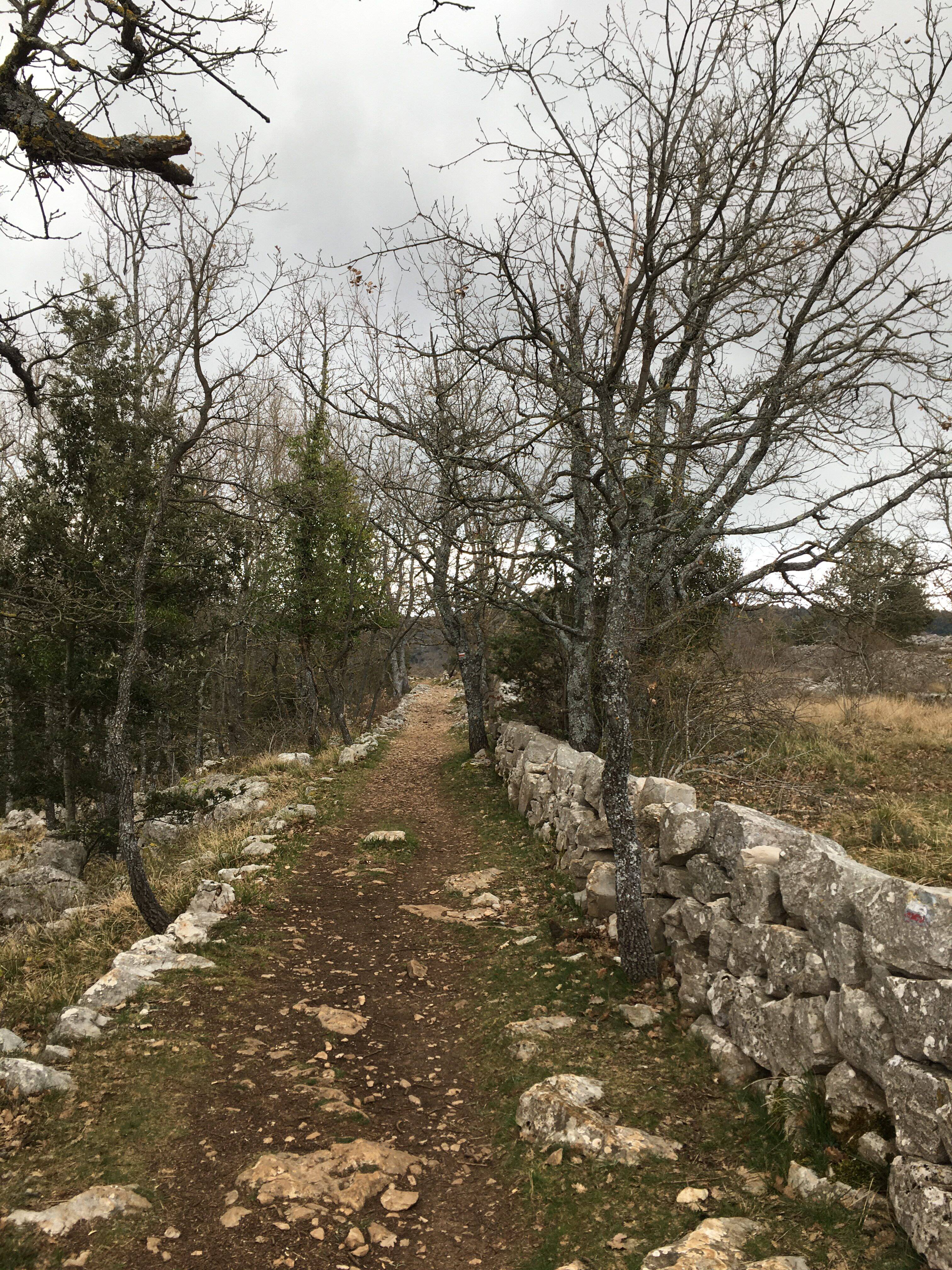 "Il a fallu aplanir les relations": on vous explique comment le trail des Baous pourra faire son retour ce dimanche à Saint-Jeannet