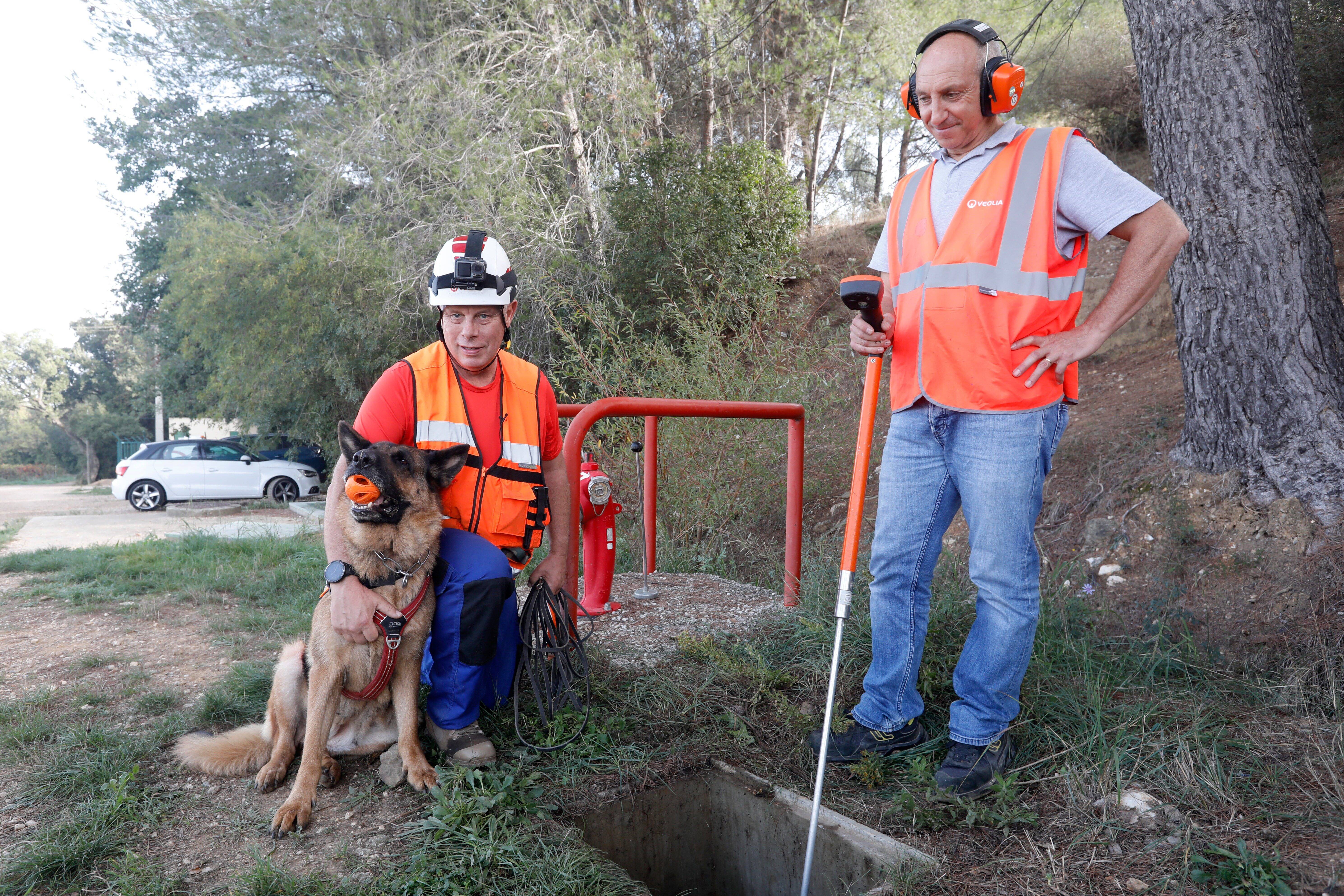 A La Crau, des chiens renifleurs pour détecter les fuites d'eau dans les réseaux de canalisations