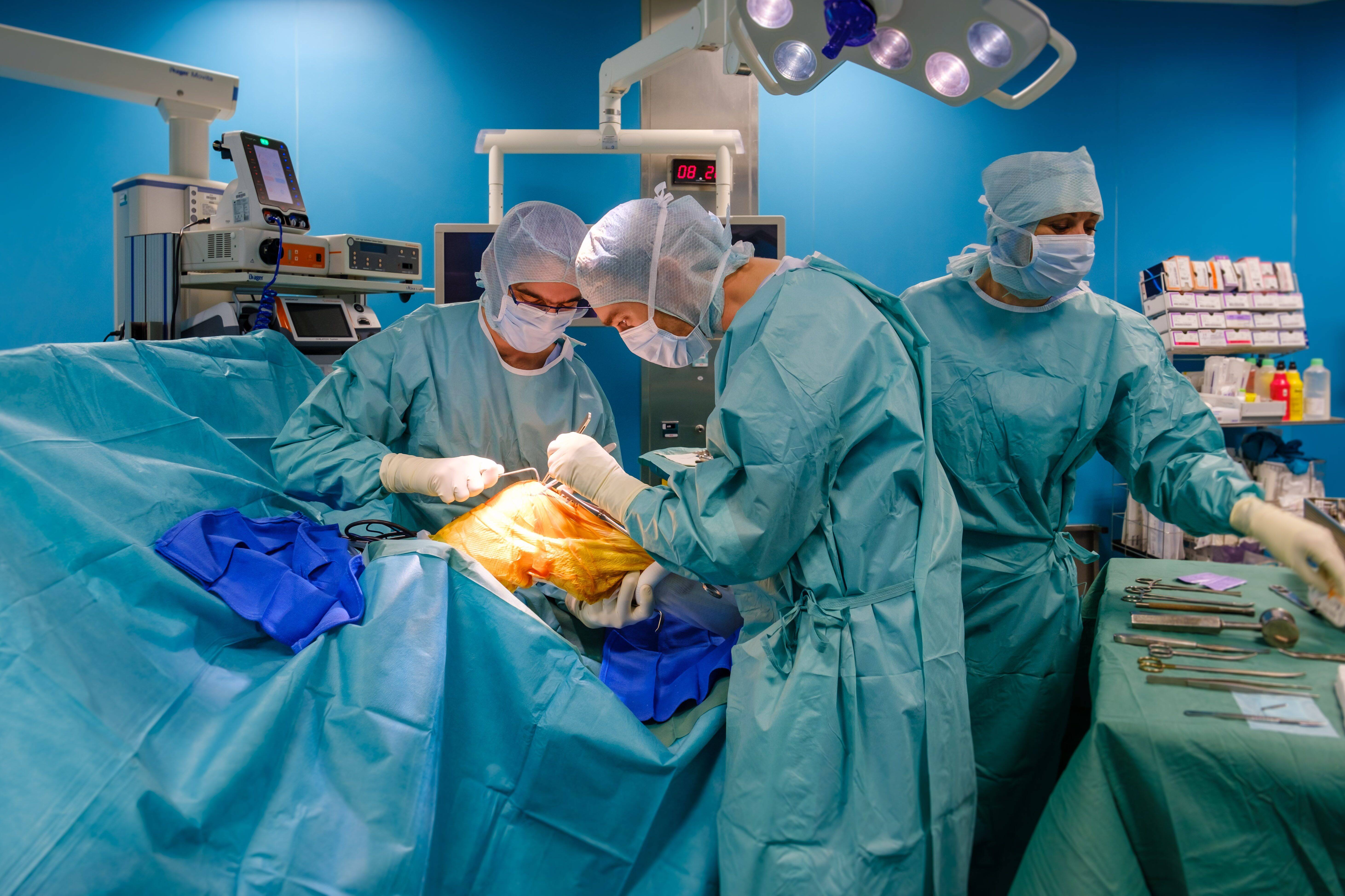 Une première mondiale: à Monaco, elle a donné son tendon pour soigner sa fille