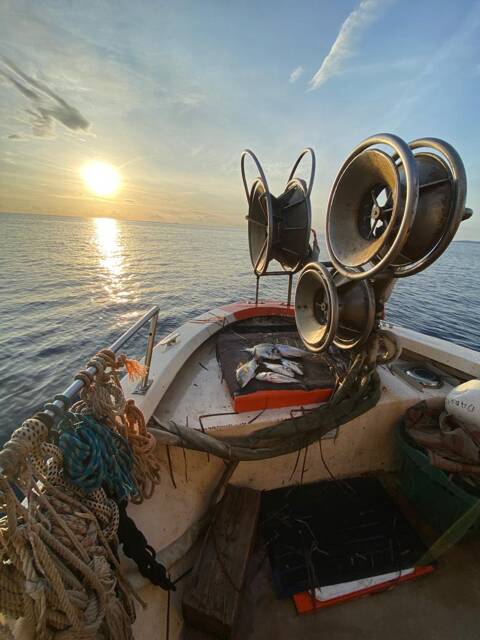 À vendre : bateau de pêche pro SEA'S 60 – Le Pêcheur Professionnel