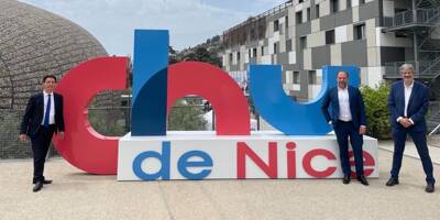 Un logo à un million d'euros pour le CHU de Nice?